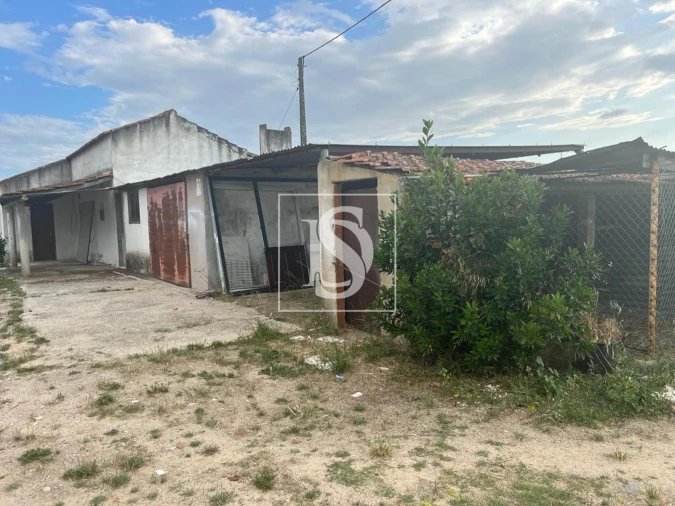 Quinta T2 para Venda em Quinta do Anjo Foto 5