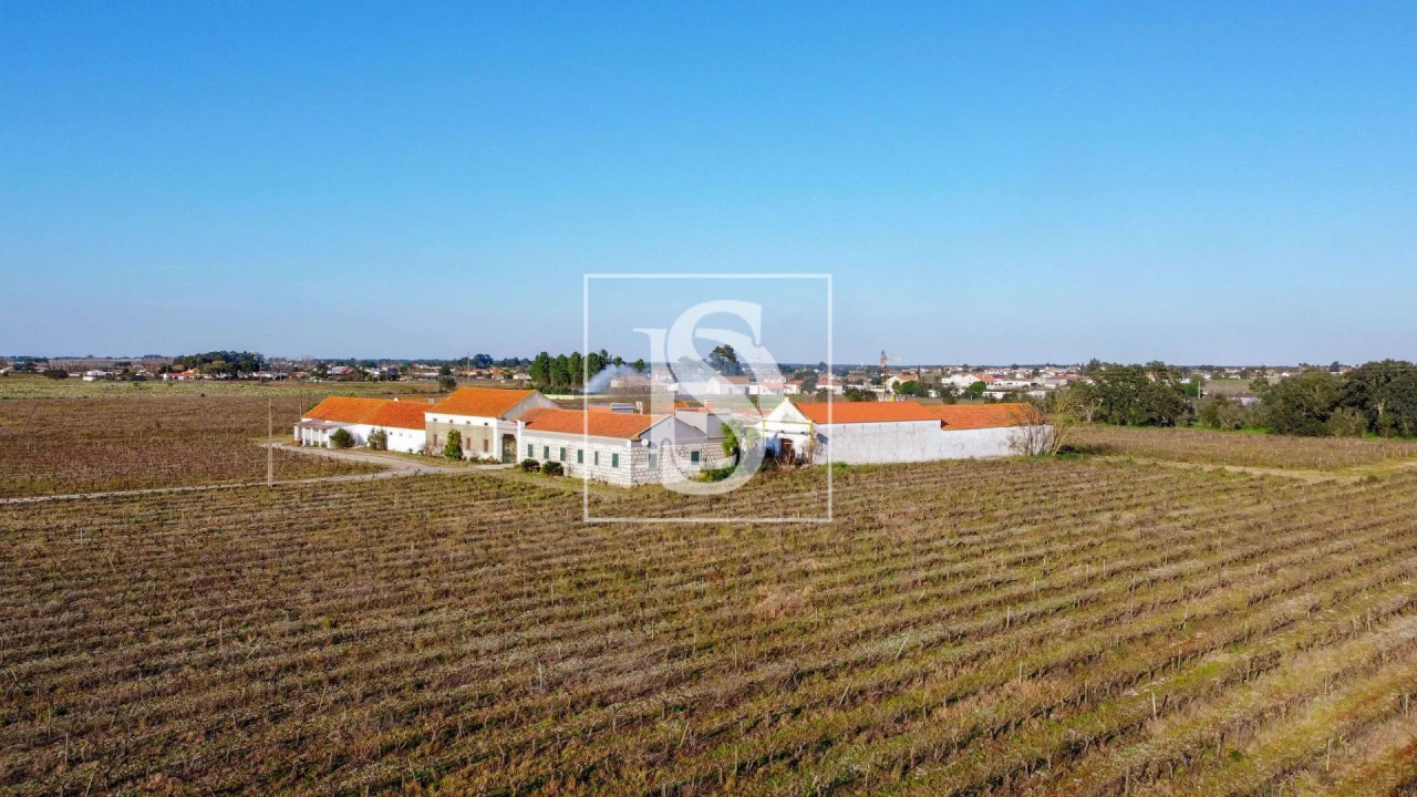 Quinta T3 para Venda em Poceirão e Marateca Foto 27