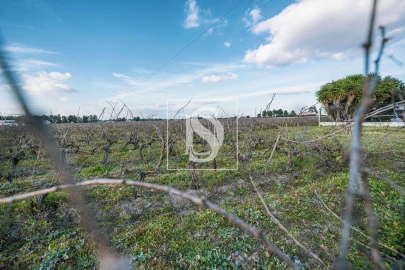 Quinta T3 para Venda em Poceirão e Marateca