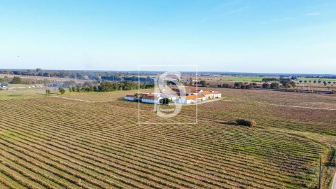 Quinta T3 para Venda em Poceirão e Marateca