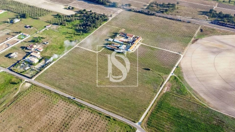 Quinta T3 para Venda em Poceirão e Marateca