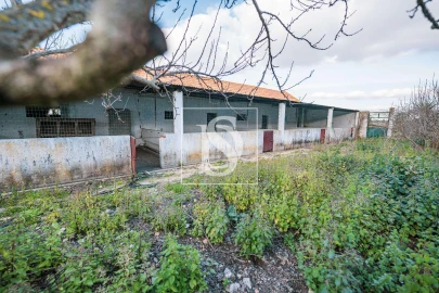 Quinta T3 para Venda em Poceirão e Marateca