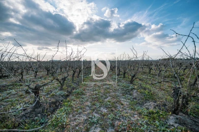 Quinta T3 para Venda em Poceirão e Marateca