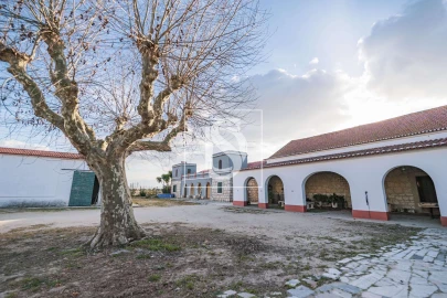 Quinta T3 para Venda em Poceirão e Marateca