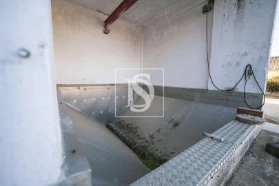 Quinta T3 para Venda em Poceirão e Marateca