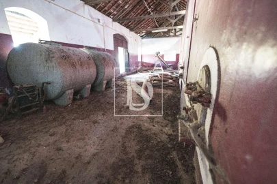 Quinta T3 para Venda em Poceirão e Marateca