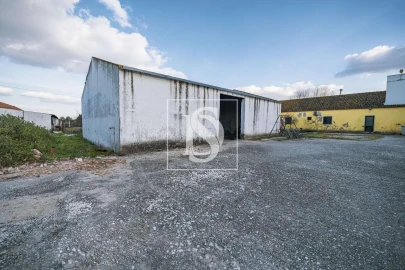 Quinta T3 para Venda em Poceirão e Marateca