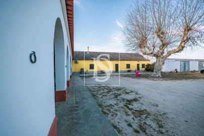 Quinta T3 para Venda em Poceirão e Marateca