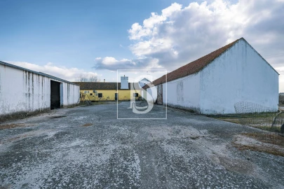 Quinta T3 para Venda em Poceirão e Marateca