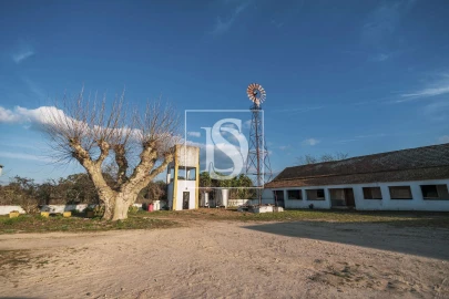 Quinta T3 para Venda em Poceirão e Marateca