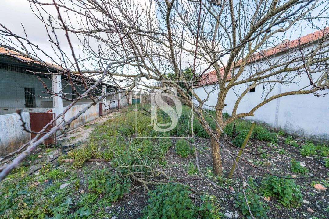 Quinta T3 para Venda em Poceirão e Marateca Foto 2