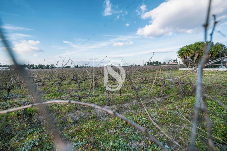 Quinta T3 para Venda em Poceirão e Marateca Foto 10