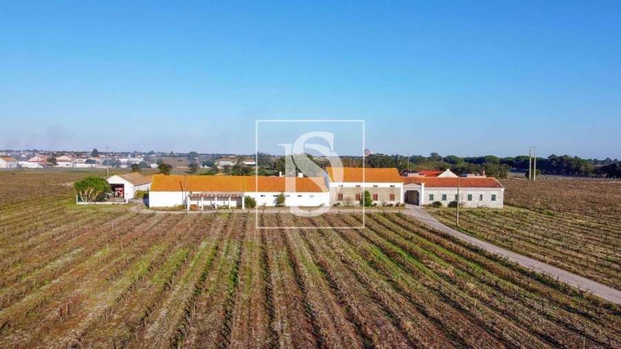 Quinta T3 para Venda em Poceirão e Marateca Foto 28