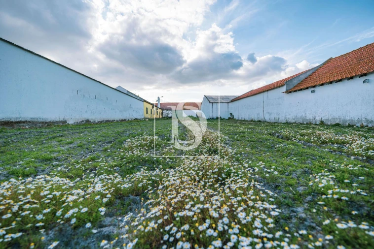 Quinta T3 para Venda em Poceirão e Marateca Foto 4