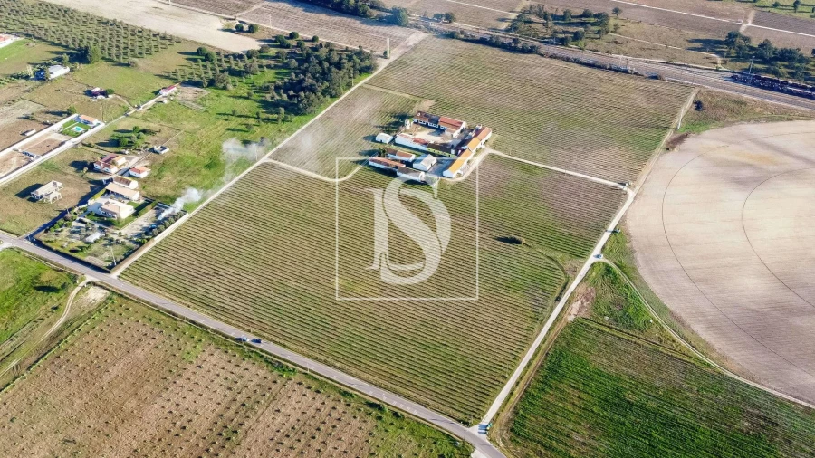 Quinta T3 para Venda em Poceirão e Marateca Foto 26