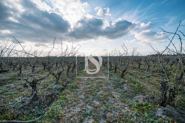 Quinta T3 para Venda em Poceirão e Marateca Foto 9