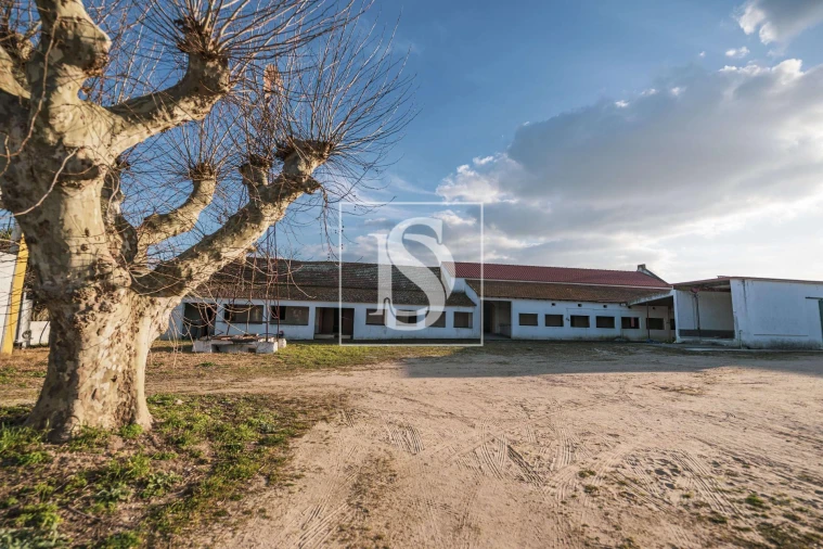 Quinta T3 para Venda em Poceirão e Marateca Foto 21