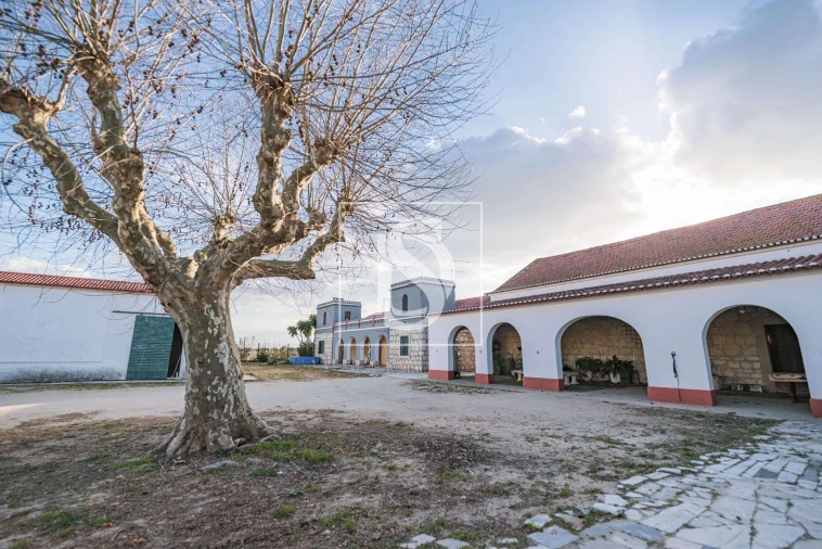 Quinta T3 para Venda em Poceirão e Marateca Foto 18