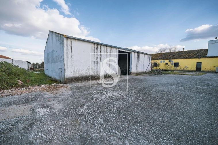 Quinta T3 para Venda em Poceirão e Marateca Foto 7