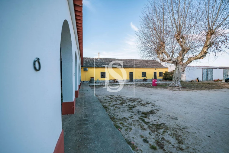 Quinta T3 para Venda em Poceirão e Marateca Foto 16