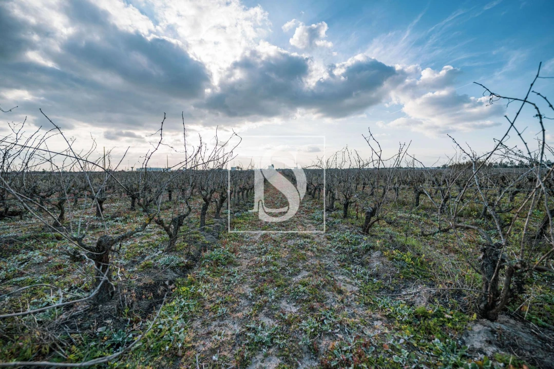 Quinta T3 para Venda em Poceirão e Marateca Foto 9