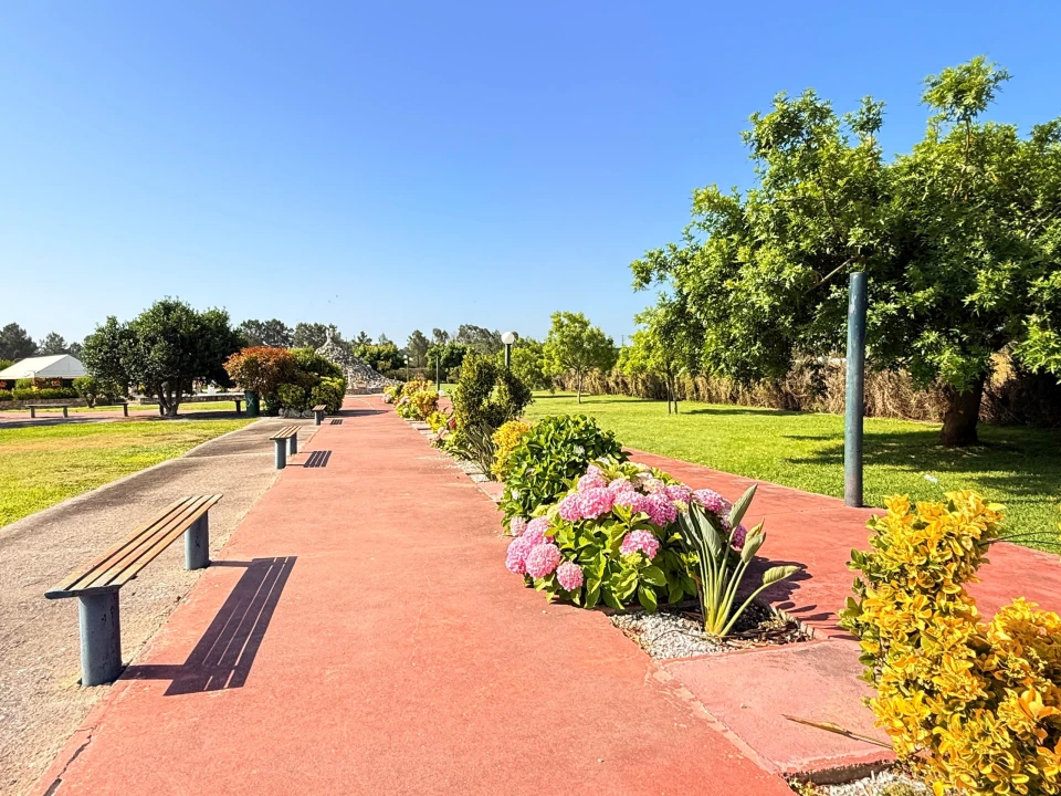 Quinta T31 para Venda em Quinta do Anjo Foto 51