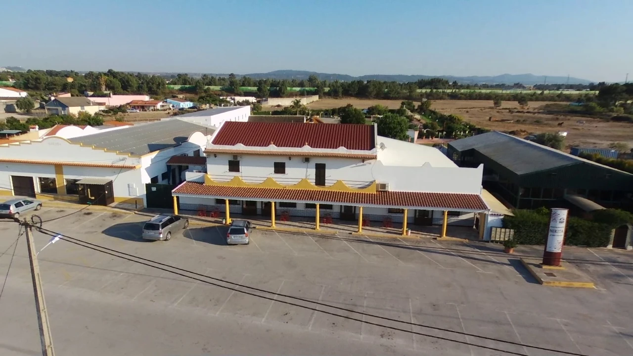 Quinta T31 para Venda em Quinta do Anjo Foto 2