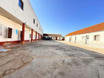 Quinta T31 para Venda em Quinta do Anjo