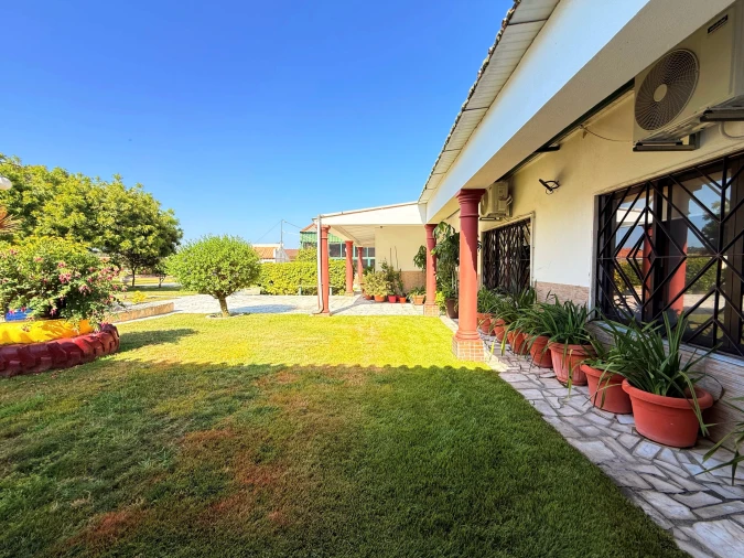 Quinta T31 para Venda em Quinta do Anjo Foto 48