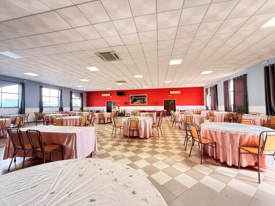 Quinta T31 para Venda em Quinta do Anjo Foto 25