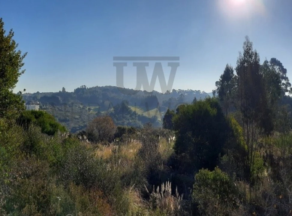 Terreno para Venda em Queluz e Belas Foto 7