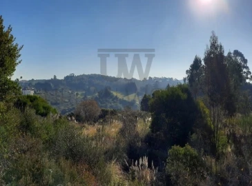 Terreno para Venda em Queluz e Belas