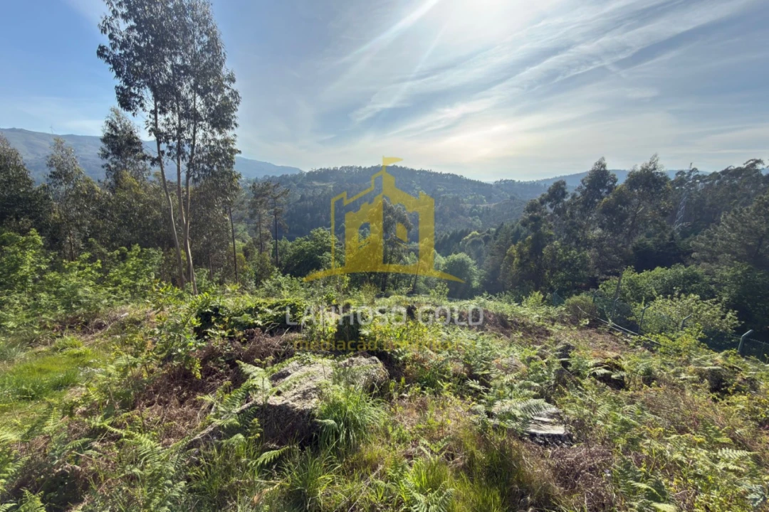 Terreno para Venda em Rossas Foto 2