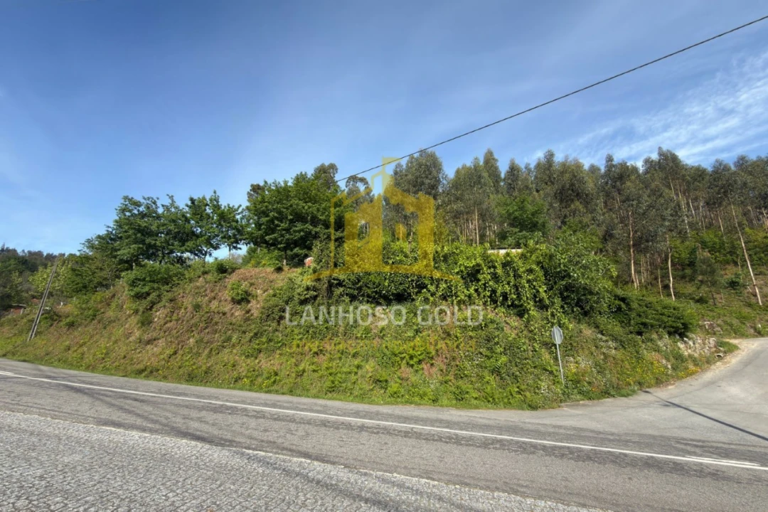 Terreno para Venda em Rossas Foto 9