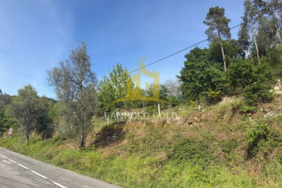 Terreno para Venda em Rossas