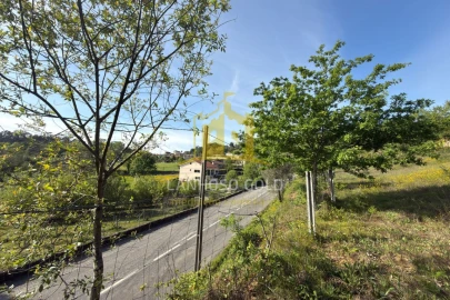 Terreno para Venda em Rossas