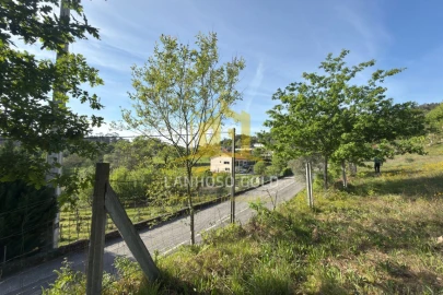 Terreno para Venda em Rossas