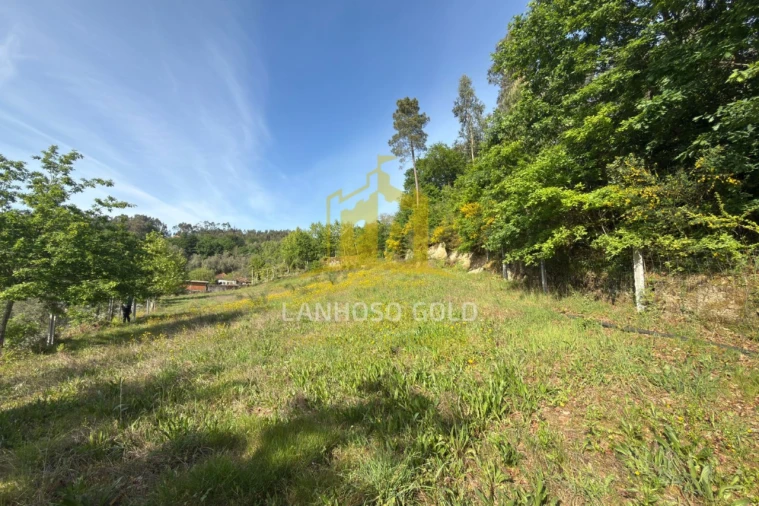 Terreno para Venda em Rossas Foto 2