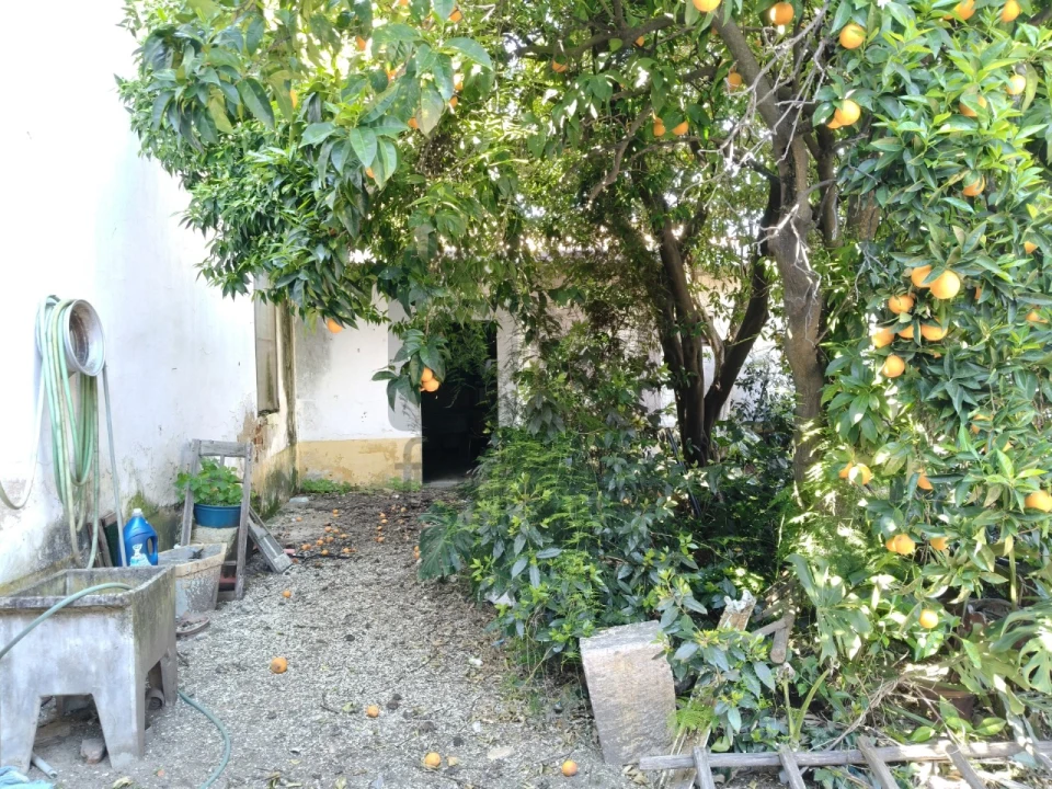 Moradia T3 para Venda em Almeirim Foto 4