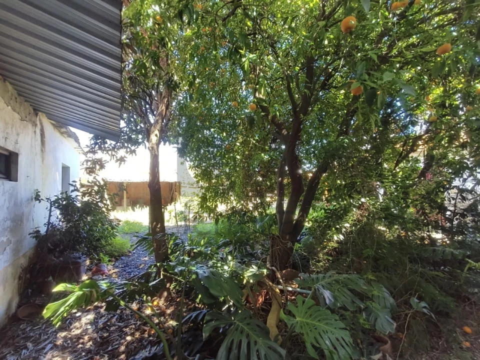 Moradia T3 para Venda em Almeirim Foto 5