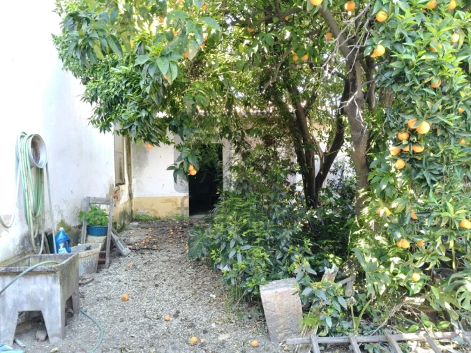 Moradia T3 para Venda em Almeirim Foto 4