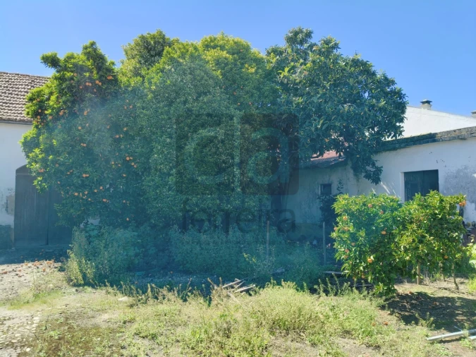 Moradia T3 para Venda em Almeirim Foto 20