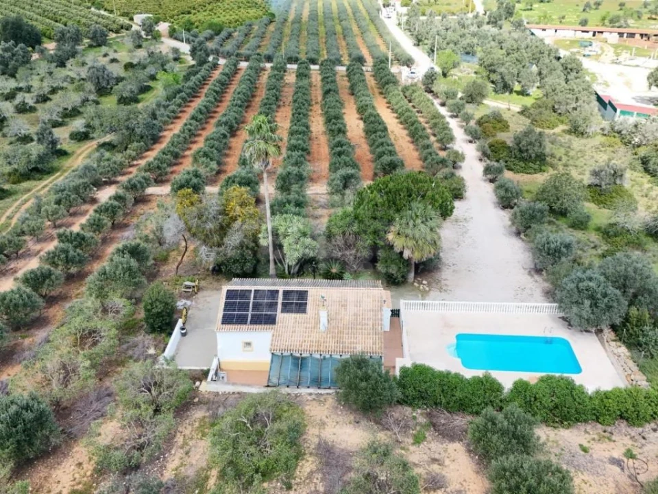 Quinta T6 para Venda em Lagoa e Carvoeiro Foto 23