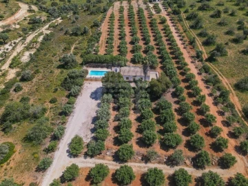 Quinta T6 para Venda em Lagoa e Carvoeiro