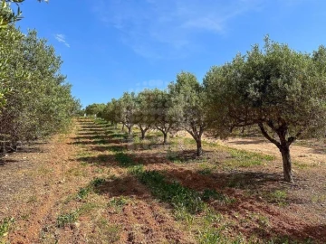 Quinta T6 para Venda em Lagoa e Carvoeiro