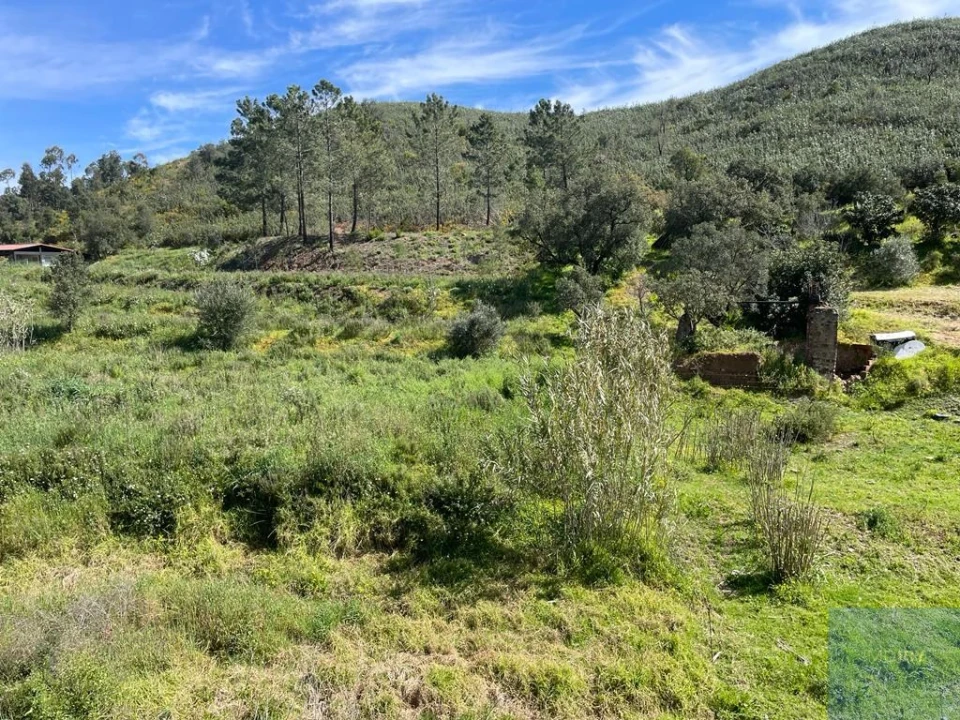 Terreno Agricola ou Rústico para Venda em Mexilhoeira Grande Foto 1
