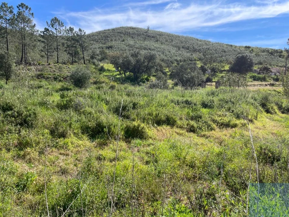 Terreno Agricola ou Rústico para Venda em Mexilhoeira Grande Foto 10