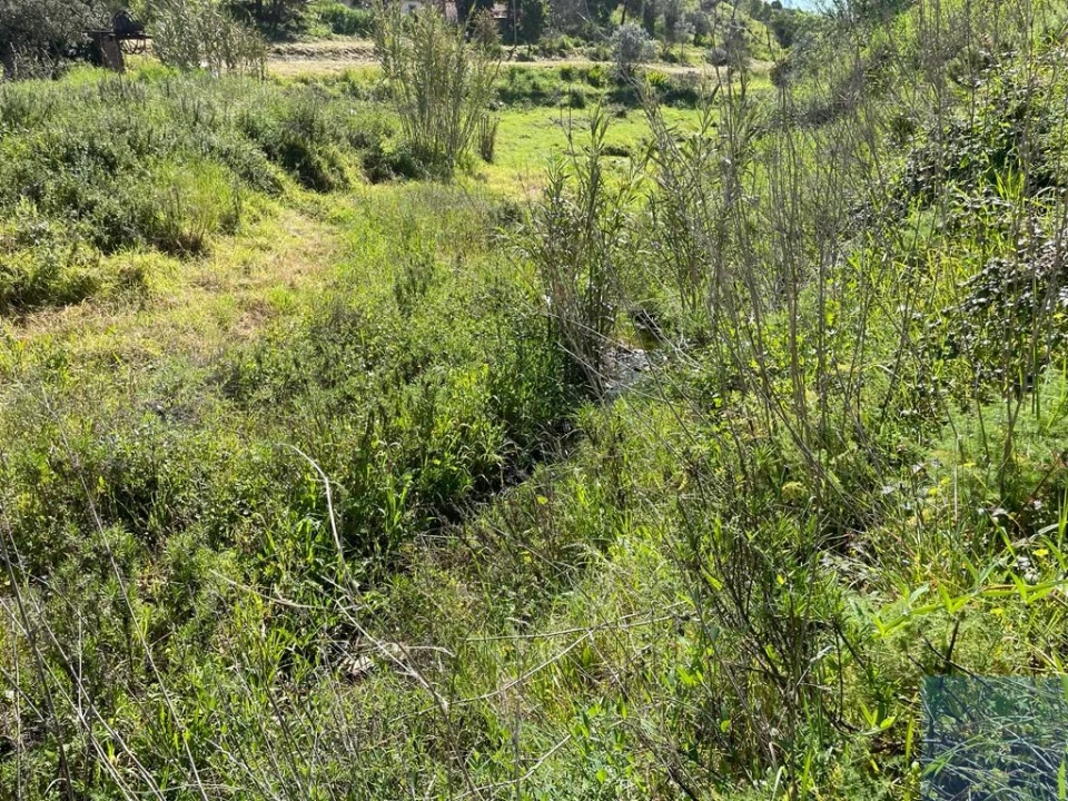Terreno Agricola ou Rústico para Venda em Mexilhoeira Grande Foto 12