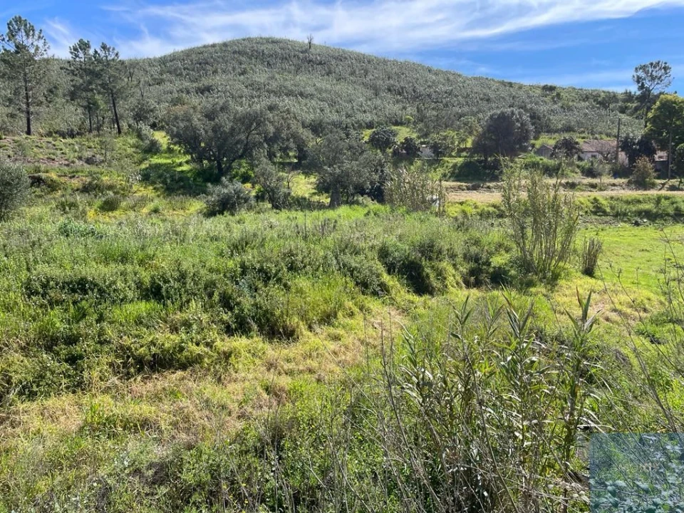Terreno Agricola ou Rústico para Venda em Mexilhoeira Grande Foto 13