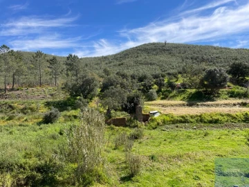 Terreno Agricola ou Rústico para Venda em Mexilhoeira Grande